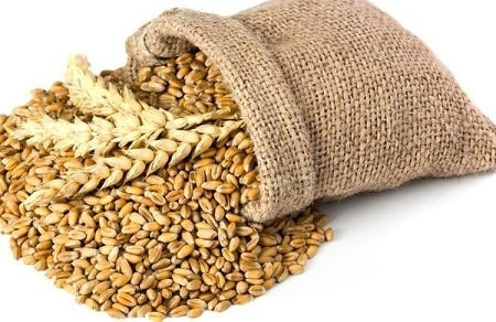 SMALL 100% Wheat Hot Pack scented with French Lavender - Assorted colours