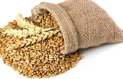 LARGE 100% Wheat Hot Pack scented with French Lavender ASS. 35cm x 17cm