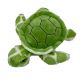 ECO Ocean Turtle